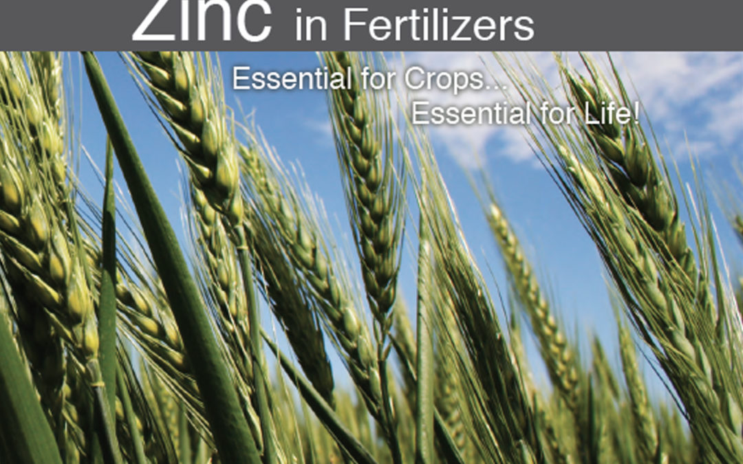 Zinc in Fertilizers: Essential for Crops; Essential for Life